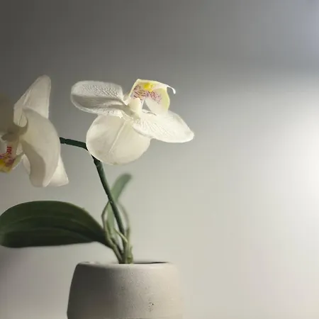 Apartamento Courtyard Kalnina *