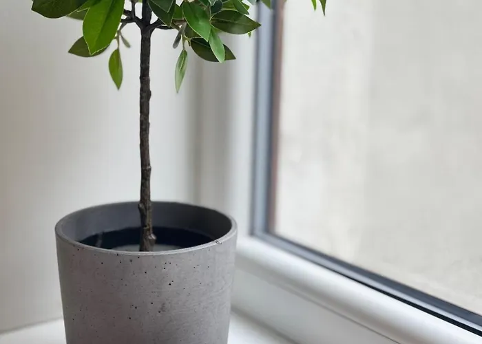 Courtyard Kalnina Apartment