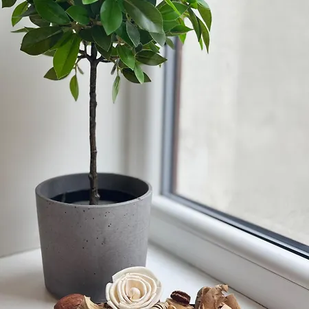 Courtyard Kalnina Apartman